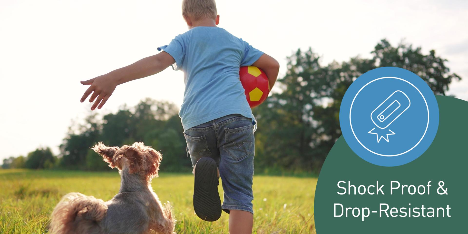 Enter the alt tag here.