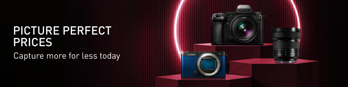 Enter the alt tag here.