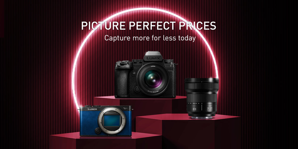 Enter the alt tag here.