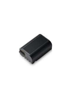 LUMIX S5 Battery Pack DMW-BLK22 DMW-BLK22E